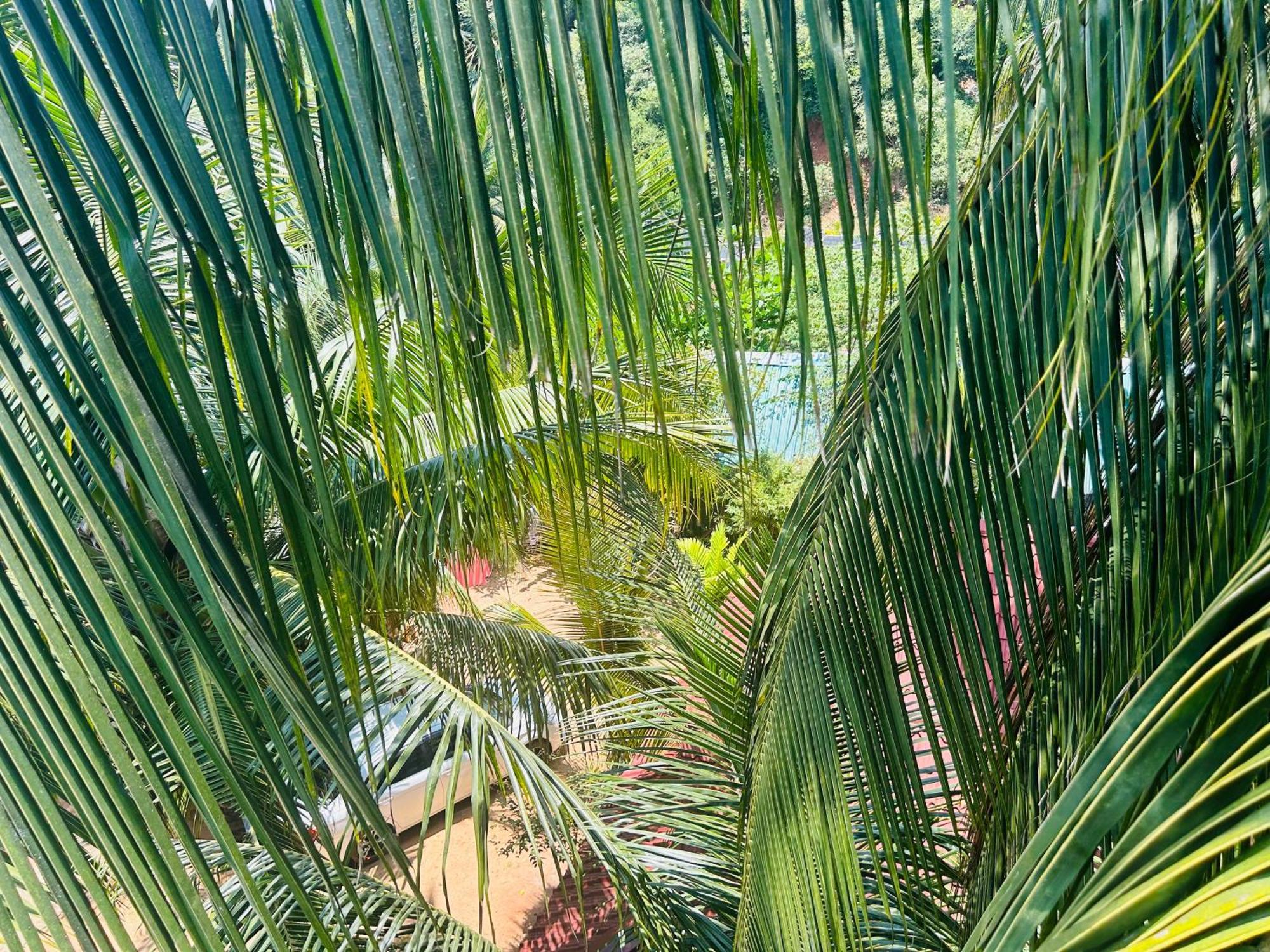 Pearl Bungalow Тринкомали Экстерьер фото
